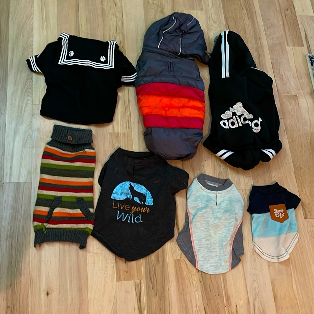 Puppy clothing lot